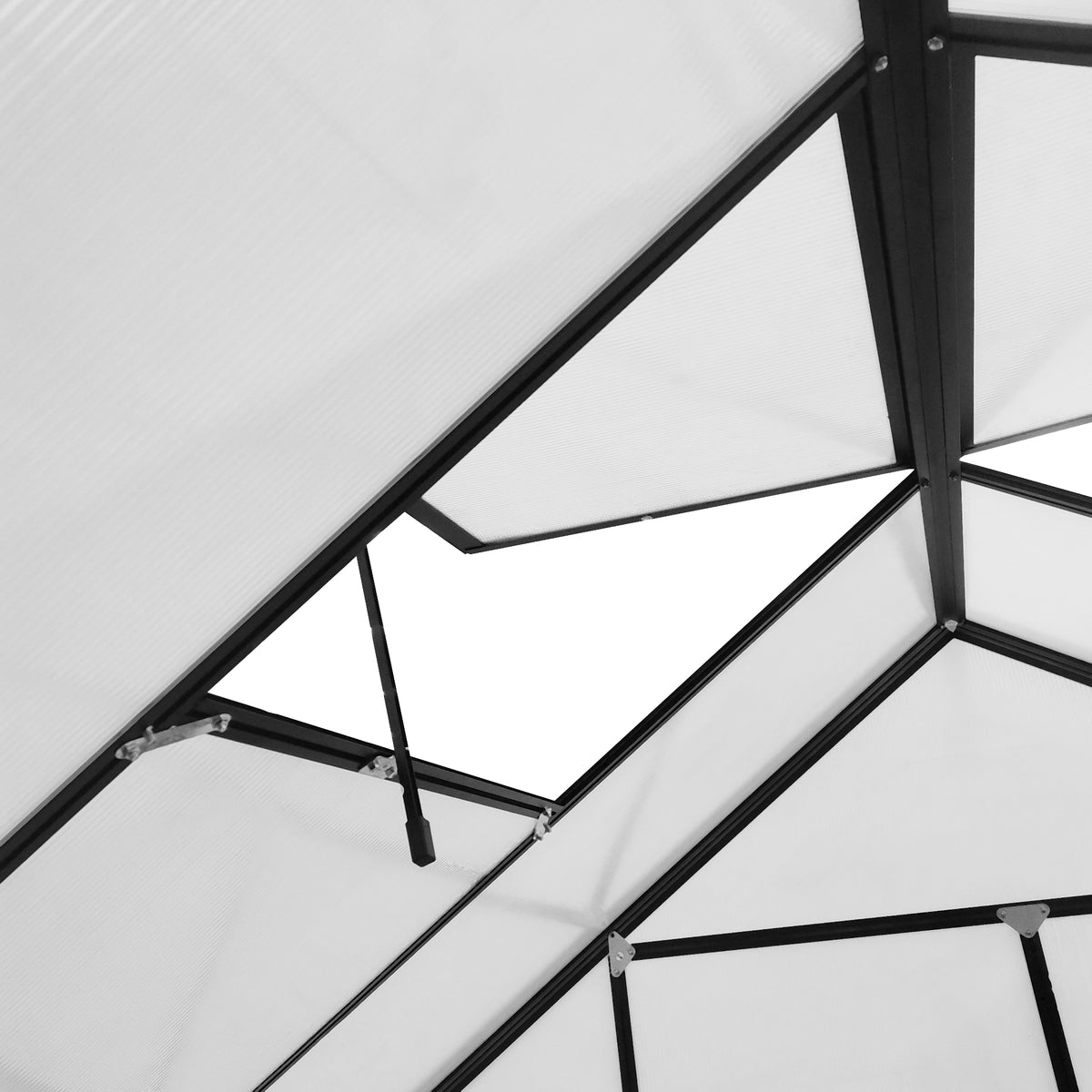 20 ft x 8 ft Polycarbonate Greenhouse with Adjustable Roof Vents, Clear